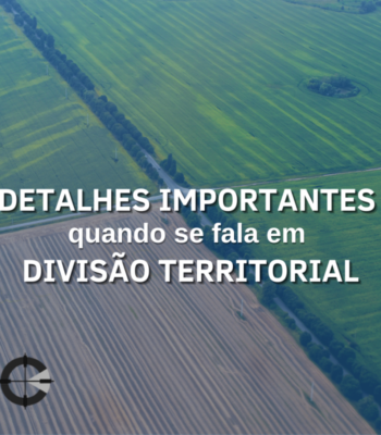 Aspectos Importantes da Divisão Territorial Aspectos Importantes da Divisão Territorial