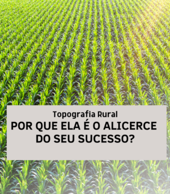Por que ela é o alicerce do seu sucesso? Por que ela é o alicerce do seu sucesso?